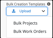 Upload Bulk Projects Spreadsheet