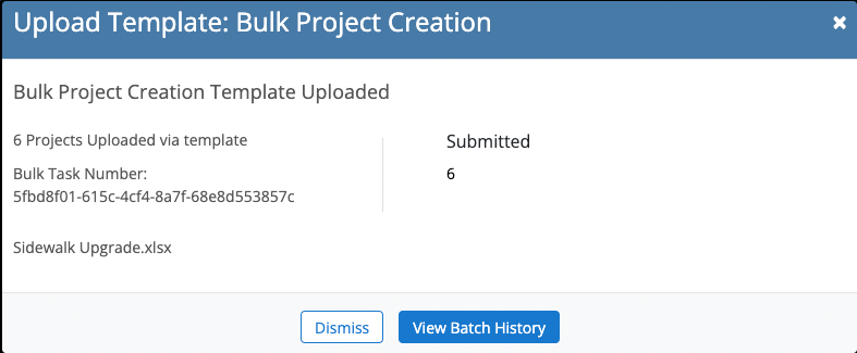 Bulk Projects Batch History
