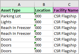 MS Excel report on assets with standard attributes